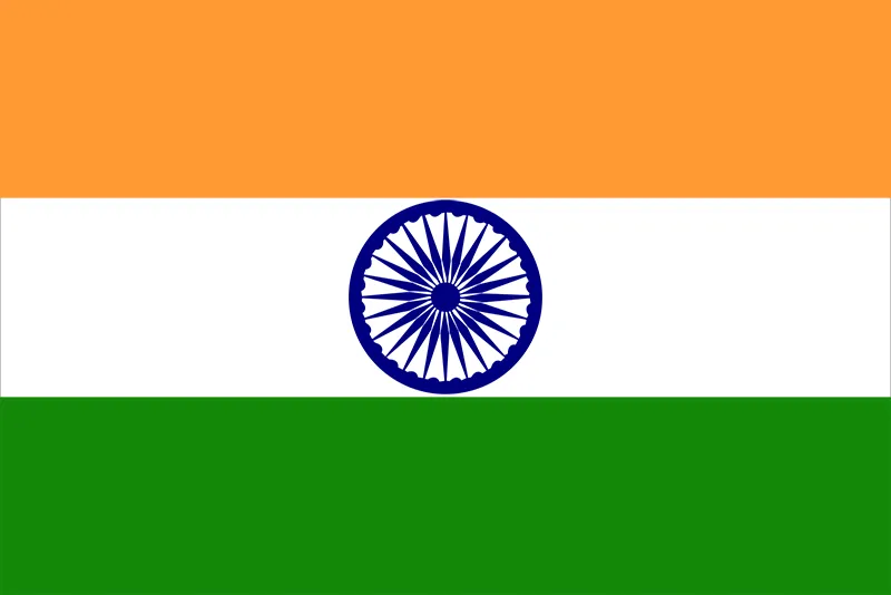 Wholesale Indian products, snacks and drinks